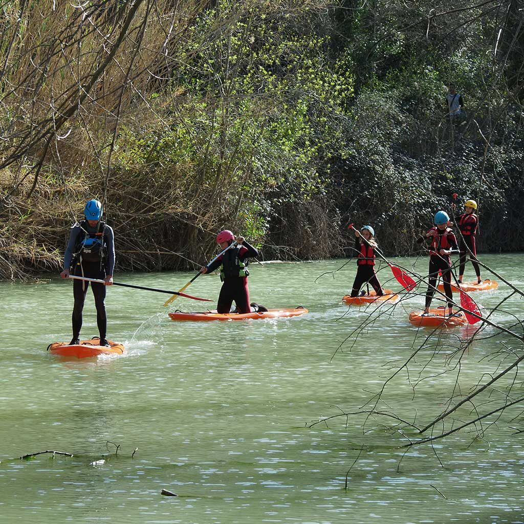 Paddle-surf