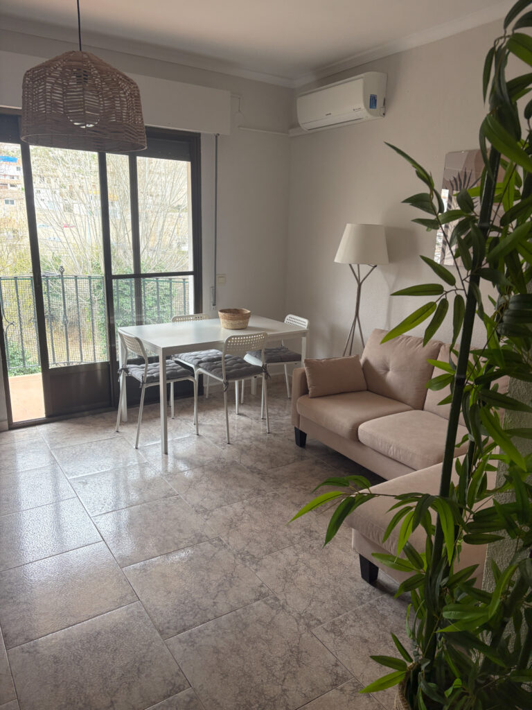 Salón Comedor Apartamento Rural Nº 1